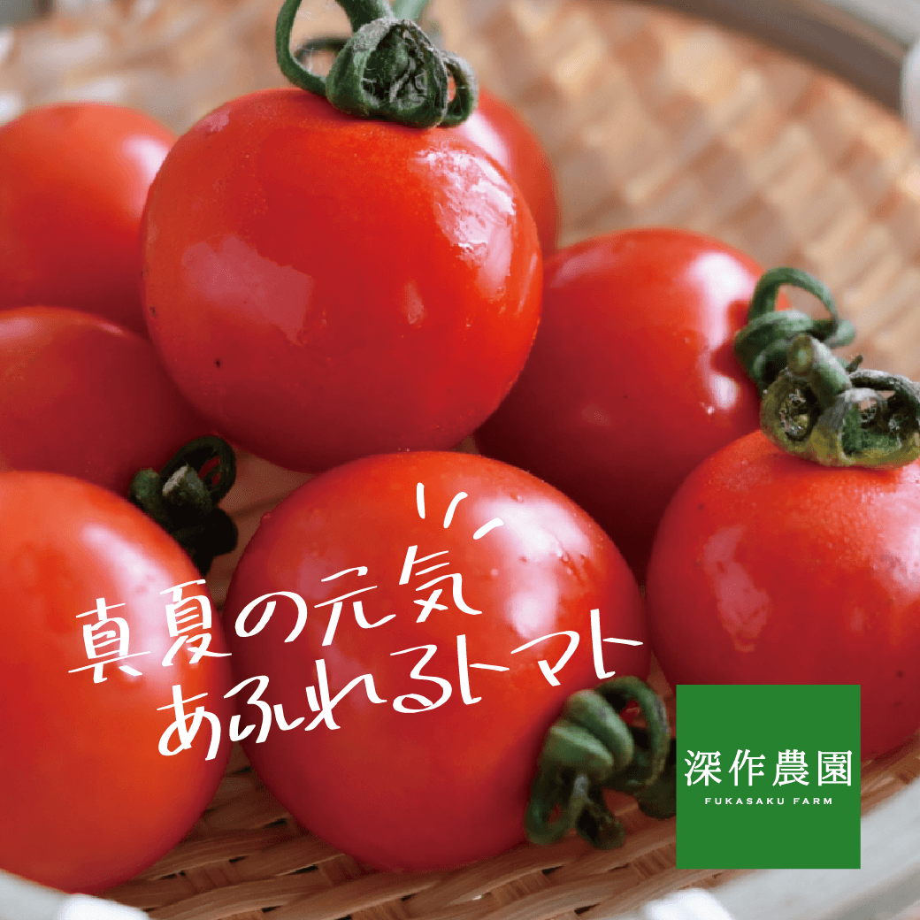 深作農園のトマト「フルトマミニー」
