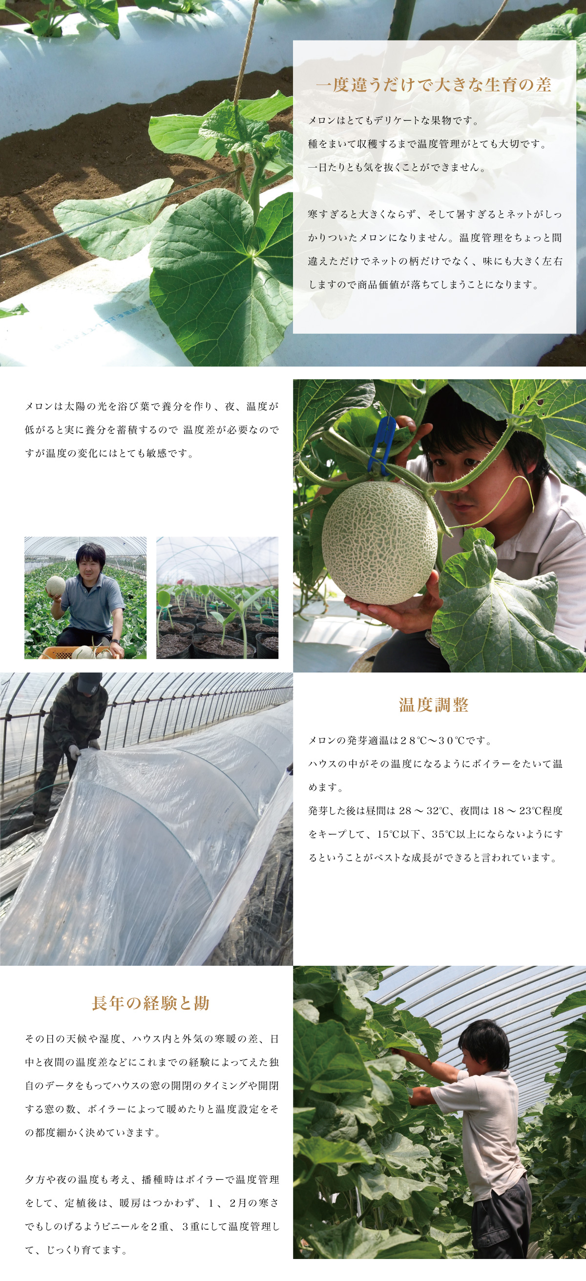 温度管理