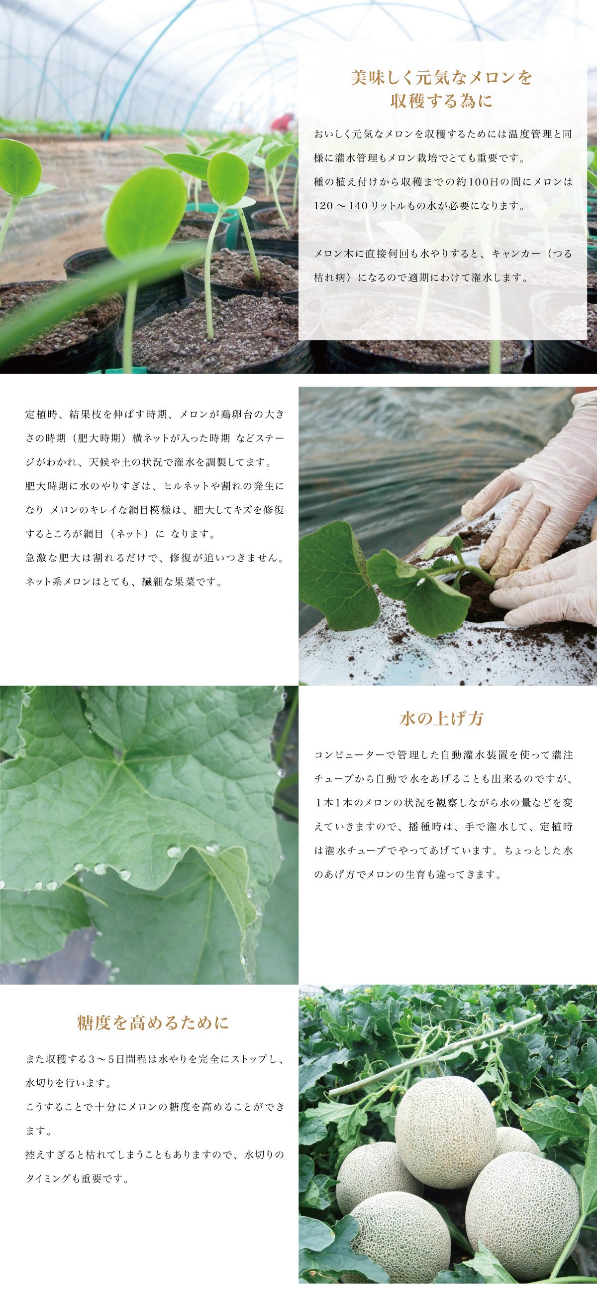 灌水管理