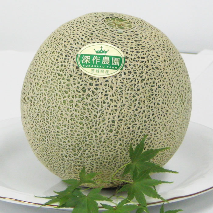 茨城県鉾田市のメロン