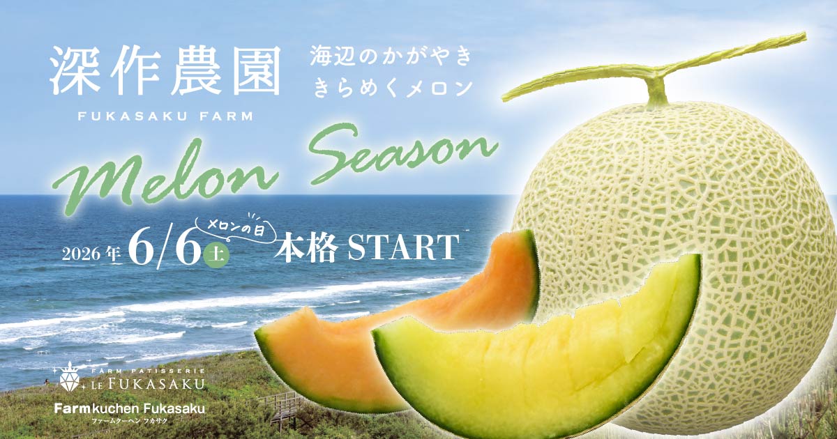 メロン 深作農園のメロンシーズン本格スタート - メロン直売・通販・メロン